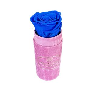Flower Box Mini Różowy - Niebieska wieczna róża
