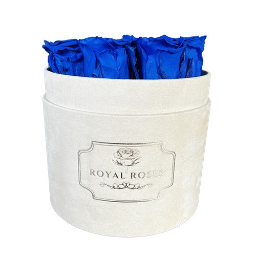 Flower Box Średni Beżowy - Niebieskie wieczne róże