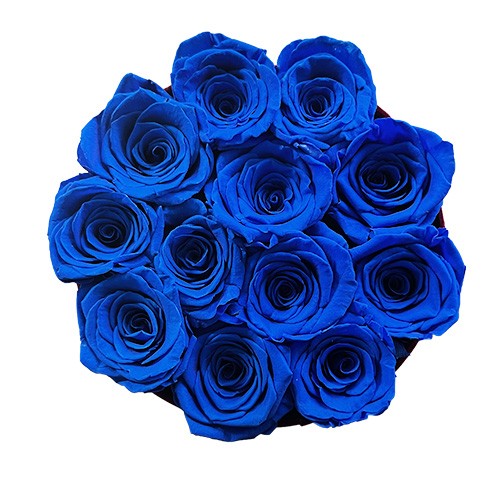Flower Box Średni Bordo - Niebieskie wieczne róże