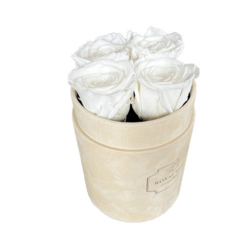 Mały Flower Box Beżowy - Białe Wieczne Róże
