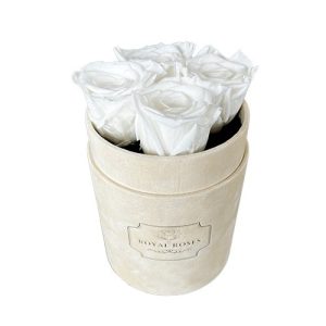 Mały Flower Box Beżowy - Białe Wieczne Róże