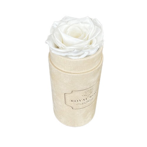 Mini Flower Box Beżowy - Biała Wieczna Róża