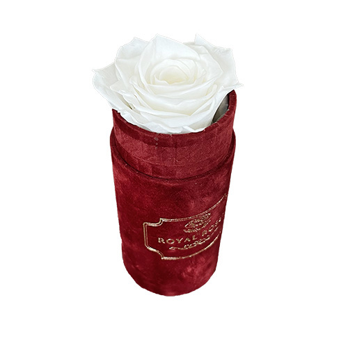 Mini Flower Box Bordo - Biała Wieczna Róża