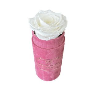 Mini Flower Box Różowe - Biała Wieczna Róża