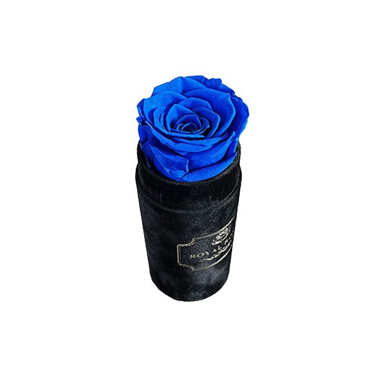 Niebieska wieczna róża - Flower Box Mini Czarny