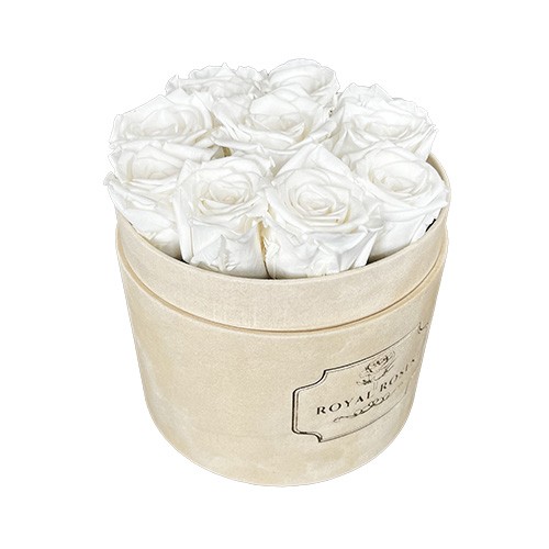 Średni Flower Box Beżowy - Białe Wieczne Róże