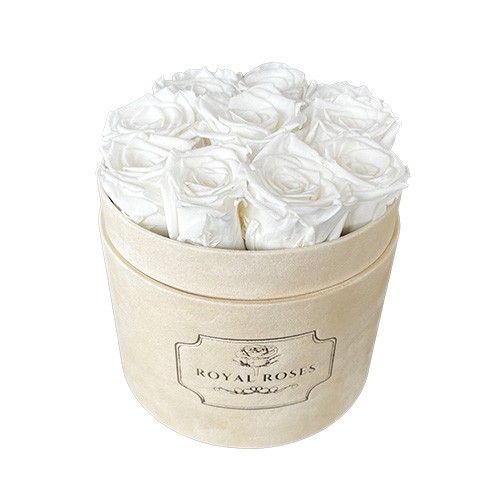 Średni Flower Box Beżowy - Białe Wieczne Róże