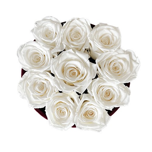 Średni Flower Box Bordo - Białe Wieczne Róże