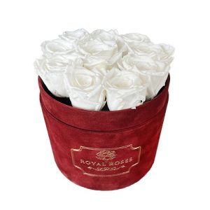 Średni Flower Box Bordo - Białe Wieczne Róże