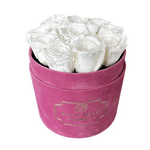 Średni Flower Box Różowe - Białe Wieczne Róże