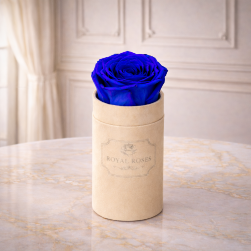 Flowerbox Beżowy Mini & Niebieska Wieczna Róża