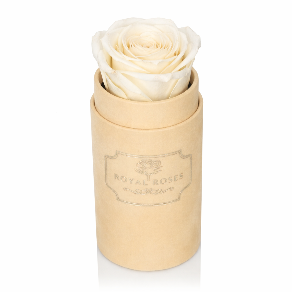 Flowerbox Beżowy Mini & Biała Wieczna Róża - obrazek 3