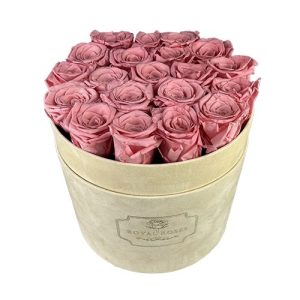 Flower Box Duży Beżowy - Wieczne róże - Pudrowy róż