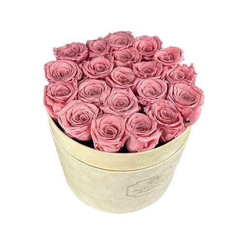 Flower Box Duży Beżowy - Wieczne róże - Pudrowy róż