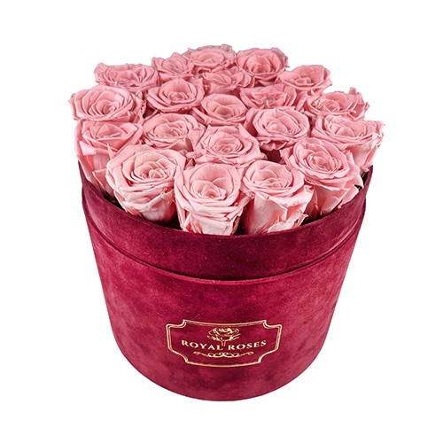 Flower Box Duży Bordowy - Wieczne róże - Pudrowy róż