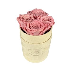 Flower Box Mały Beżowy - Wieczne róże - Pudrowy róż