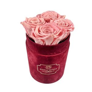 Flower Box Mały Bordowy - Wieczne róże - Pudrowy róż