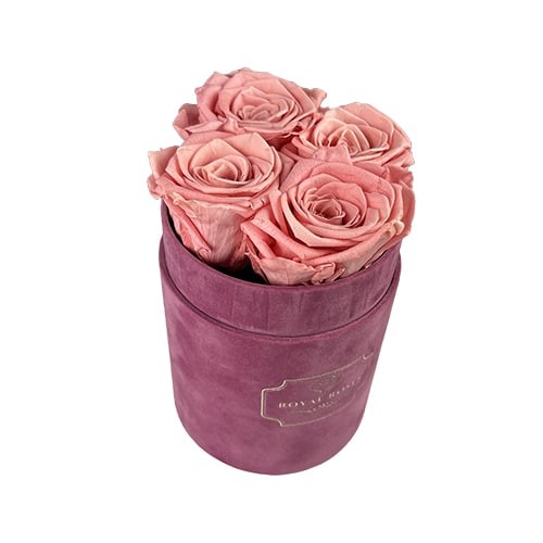 Flower Box Mały Różowy - Wieczne róże - Pudrowy róż