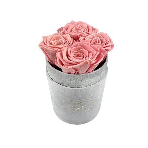 Flower Box Mały Szary - Pudrowy róż - wieczne róże