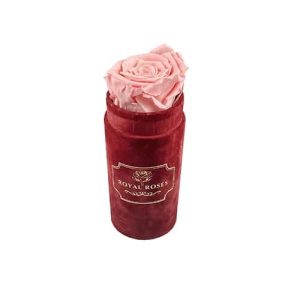 Flower Box Mini Bordowy - Wieczna róża Pudrowy róż