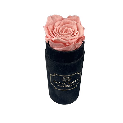 Flower Box Mini Czarny - Pudrowy róż - wieczna róża