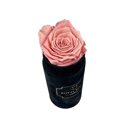 Flower Box Mini Czarny - Pudrowy róż - wieczna róża