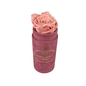 Flower Box Mini Różowy - Wieczna róża Pudrowy róż