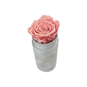 Flower Box Mini Szary wieczna róża Pudrowy róż