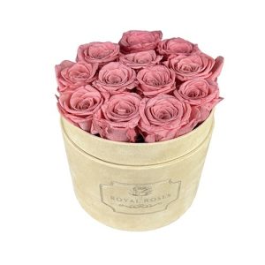 Flower Box Średni Beżowy - Wieczne róże - Pudrowy róż