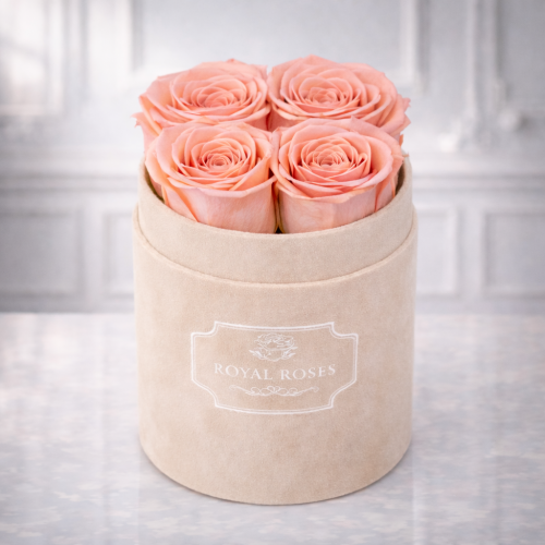 Flowerbox Beżowy Mały & Herbaciane Wieczne Róże