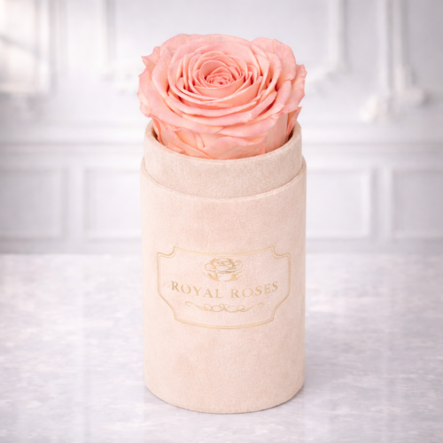 Flowerbox Beżowy Mini & Herbaciana Wieczna Róża