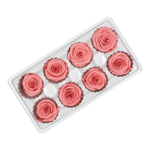 Róże stabilizowane pudrowy róż 4 - 5 cm - 8 szt
