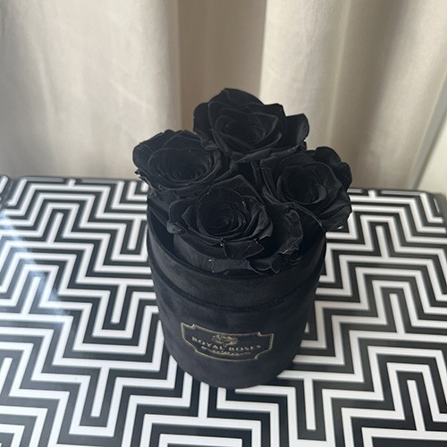 Czarne róże w pudełku