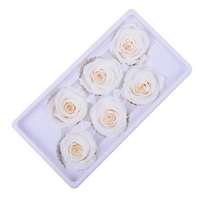 Róże stabilizowane biały 6 sztuk