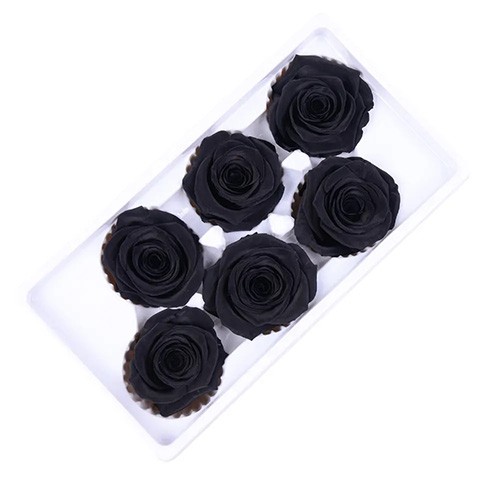 Róże stabilizowane czarny 6 sztuk