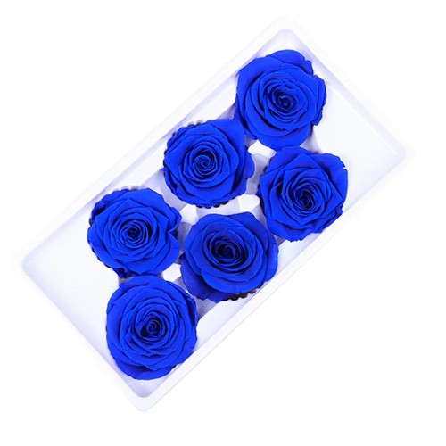 Róże stabilizowane niebieski 6 sztuk
