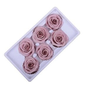 Róże stabilizowane pudrowy róż 6 sztuk