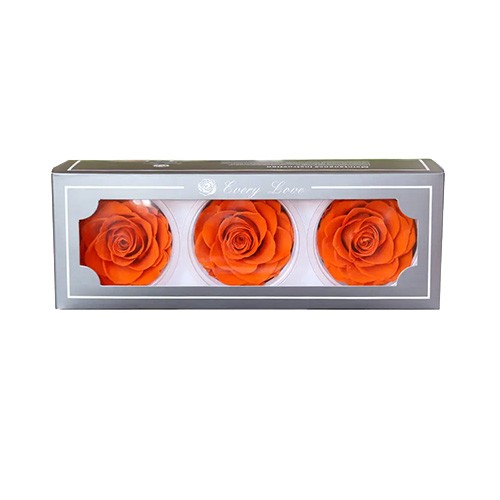Czerwone róże stabilizowane czerwone 7 - 8 cm