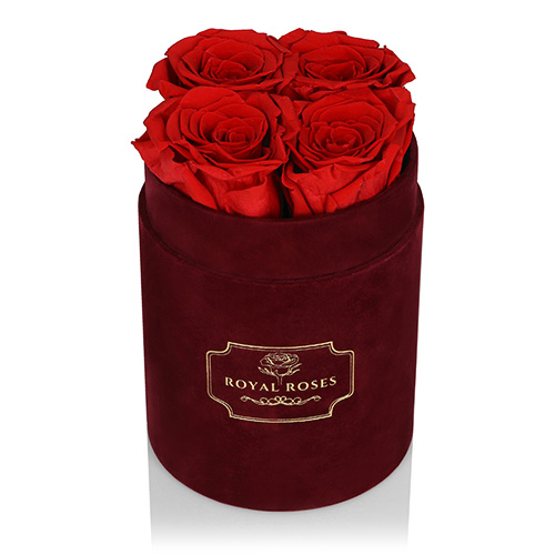Flower Box Bordo Mały - Czerwone Wieczne Róże