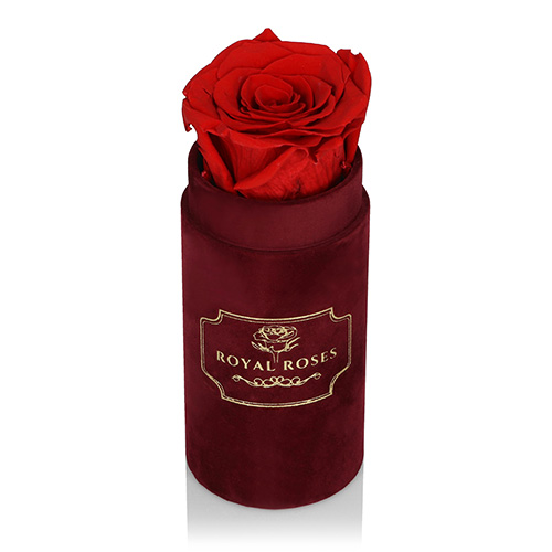Flower Box Bordo Mini - Czerwona Wieczna Róża