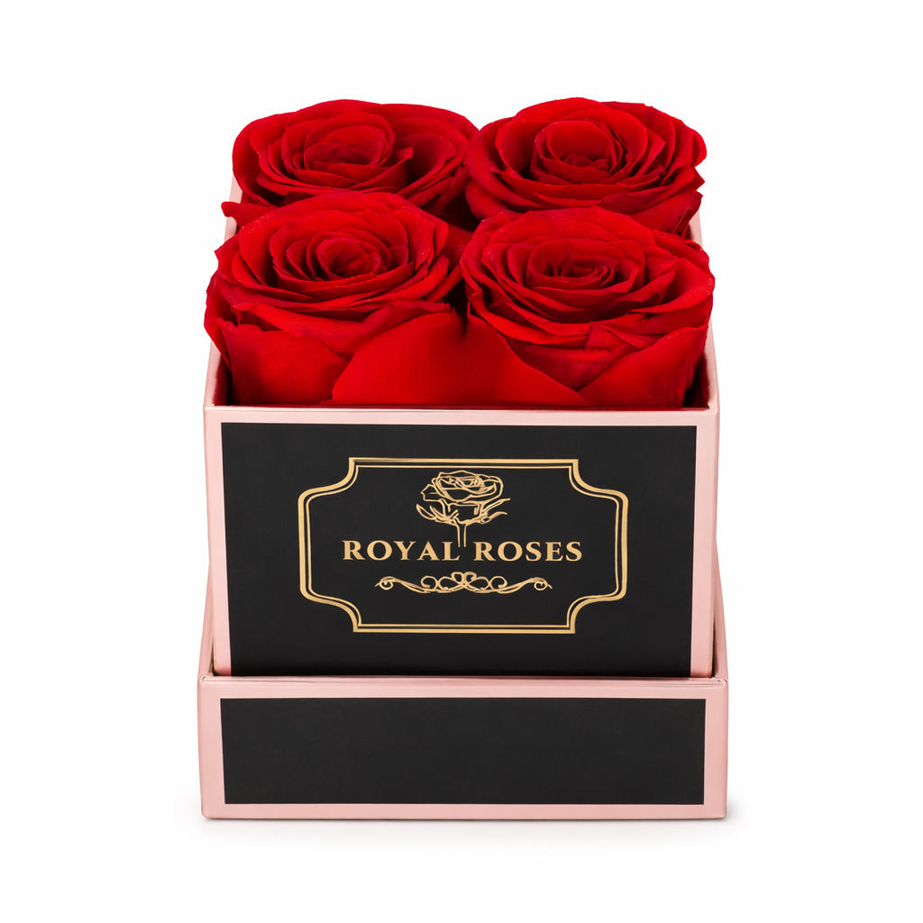 Flowerbox Kwadratowy & Czerwone Wieczne Róże - obrazek 6