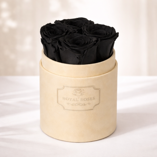 Flowerbox Mały Beżowy & Czarne Wieczne Róże