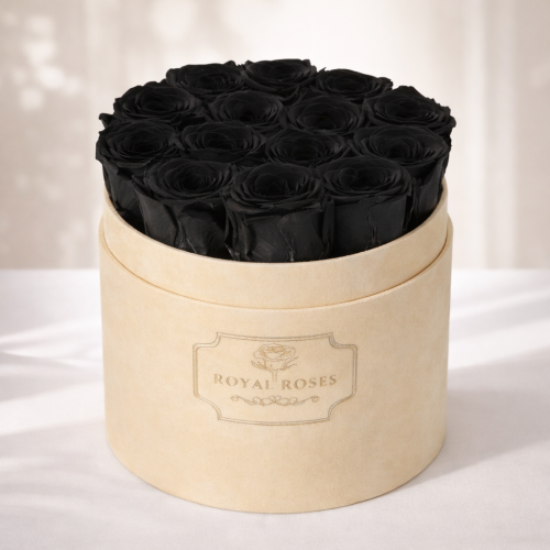 Flowerbox Średni Beżowy & Czarne Wieczne Róże