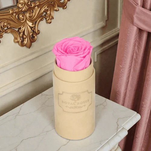 Flowerbox Beżowy Mini & Różowa Wieczna Róża